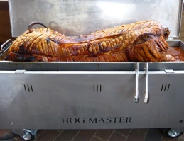 slow cooked pulled pork